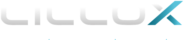 LILLOX – Insikt. Överblick. Framtid.